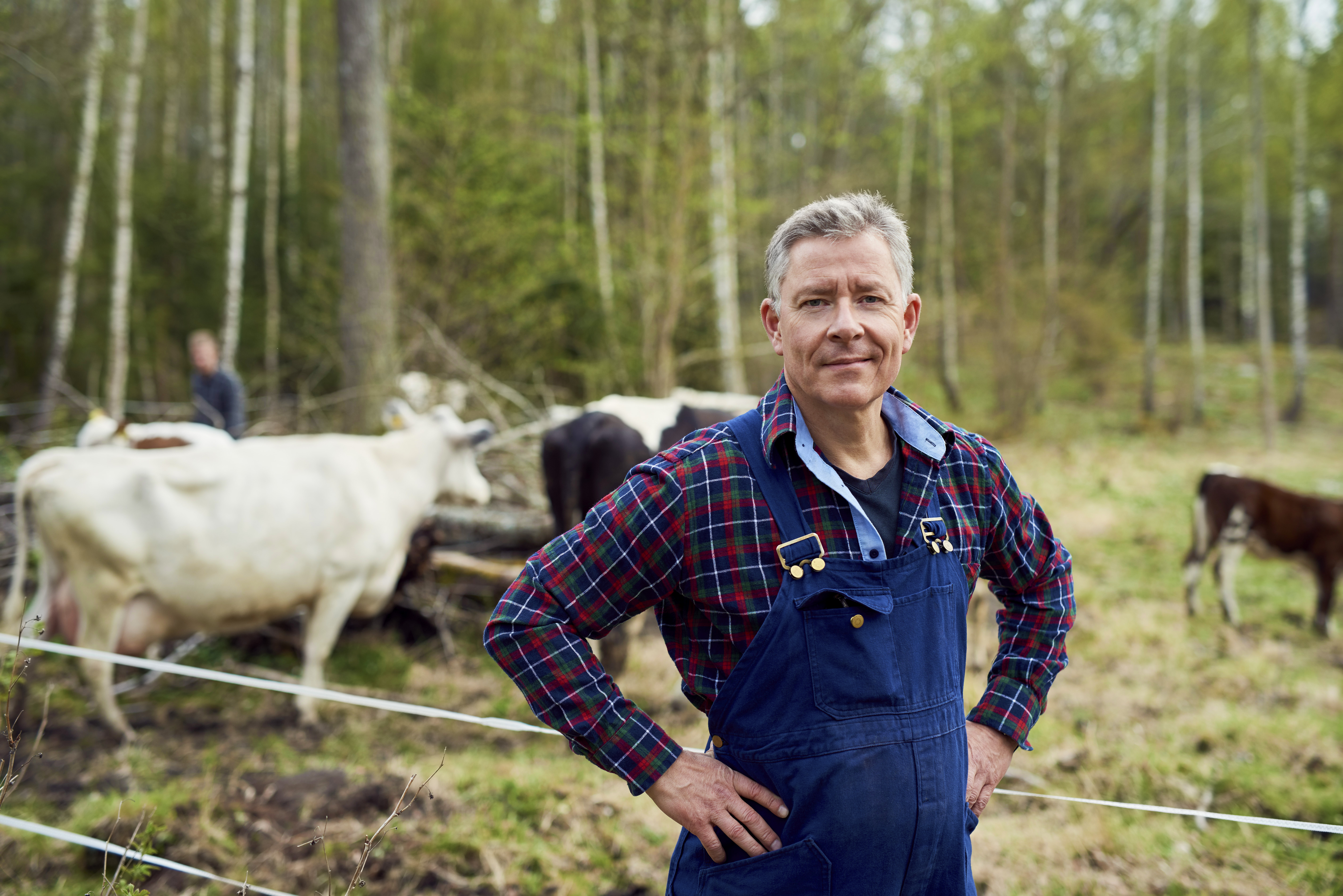 Manlig lantbrukare med kor